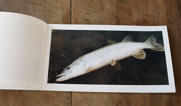 Carnets des rivières