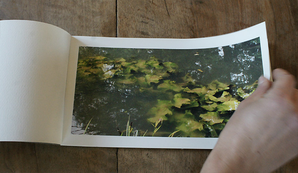 Carnets des rivières