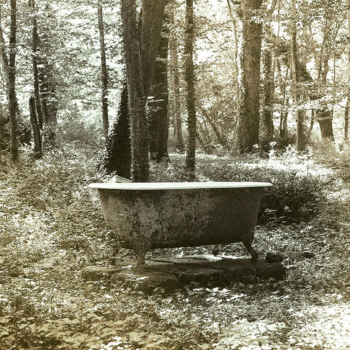 the bath