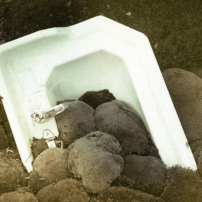 the bath