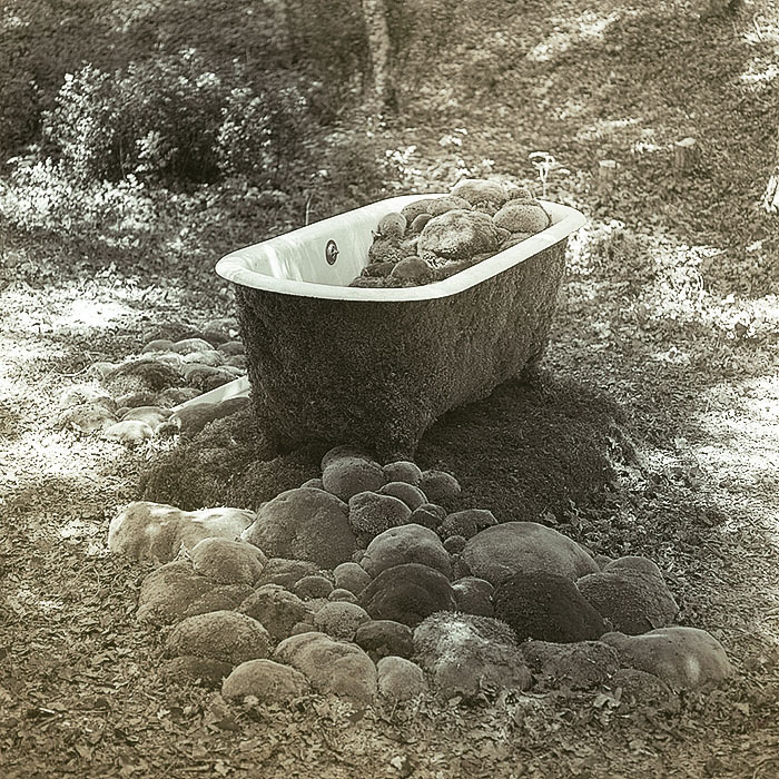 the bath