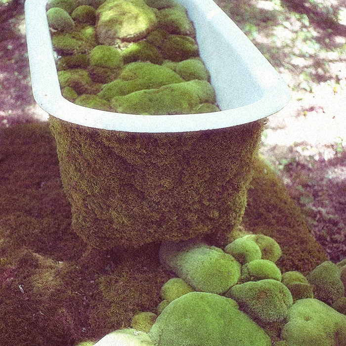 the bath