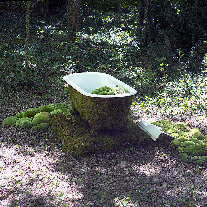 the bath