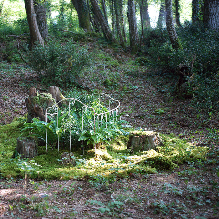 The child room