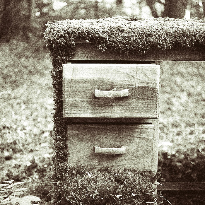 the desk