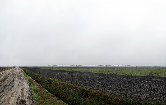 The Gates