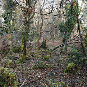 landscape2015