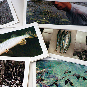 Carnets des rivières